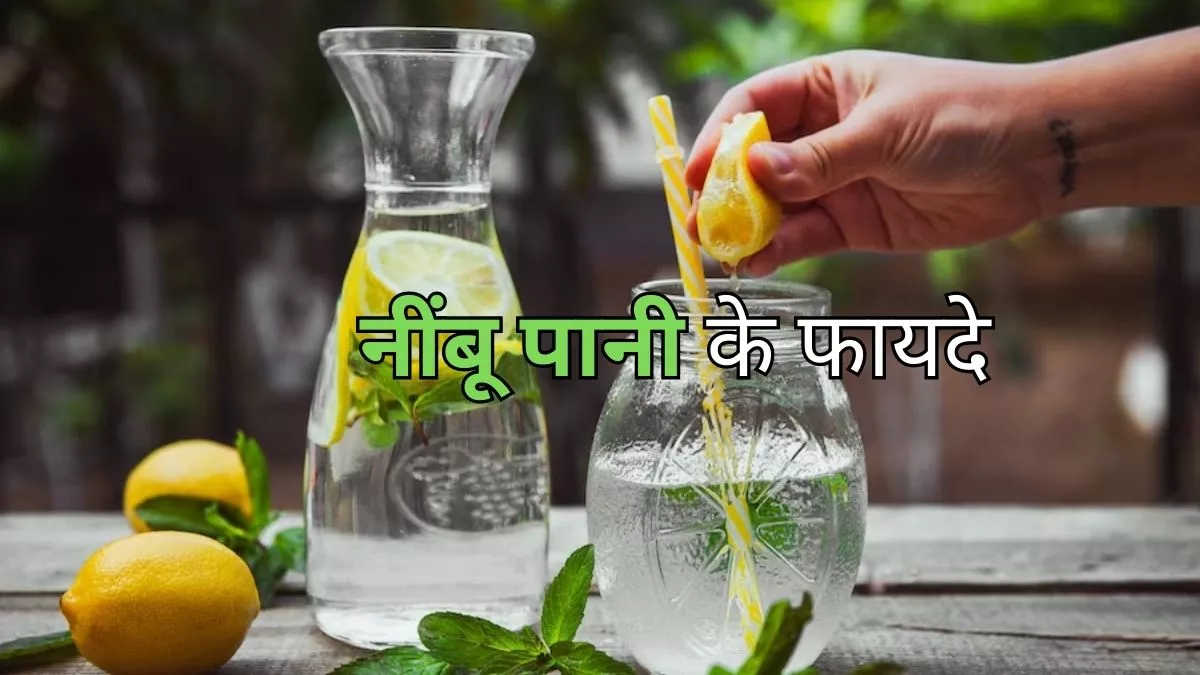 नींबू पानी बिजनेस के फायदे (Benefits of Nimbu Pani Business)